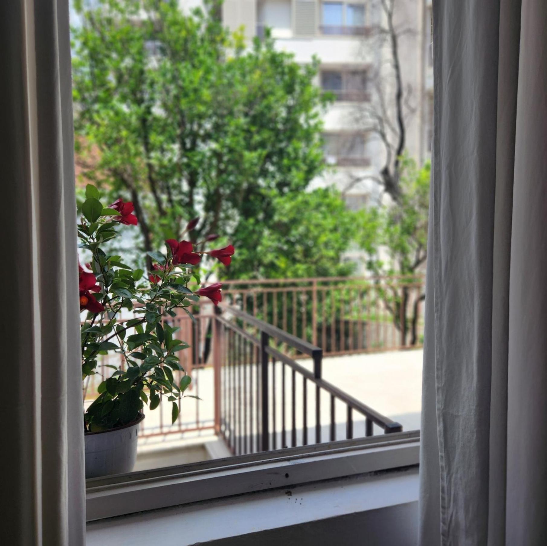 Bela Kuca Studio Apartments-Na Korak Do Mora-A Step To The Sea Rafailovici Ngoại thất bức ảnh